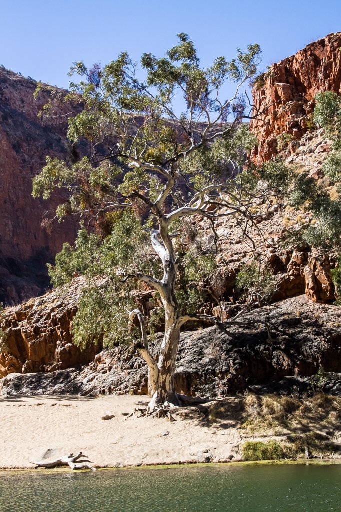 Ormiston Gorge.