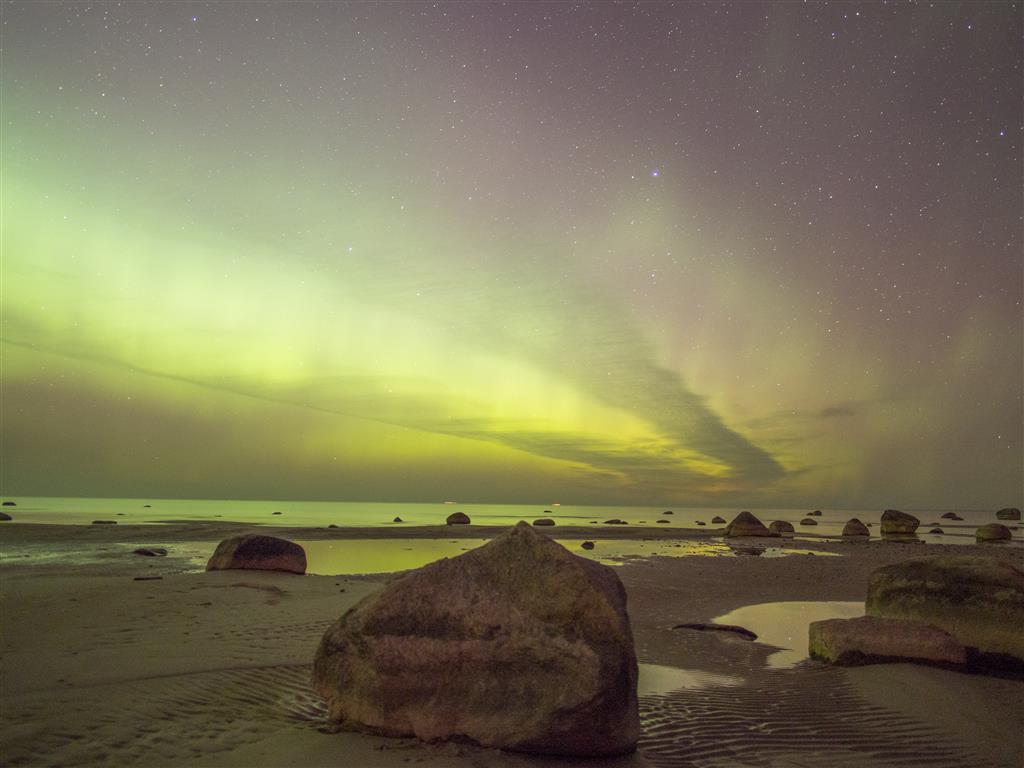 P3188708 (Custom).JPG