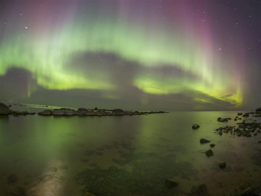 P3188735 (Custom).JPG