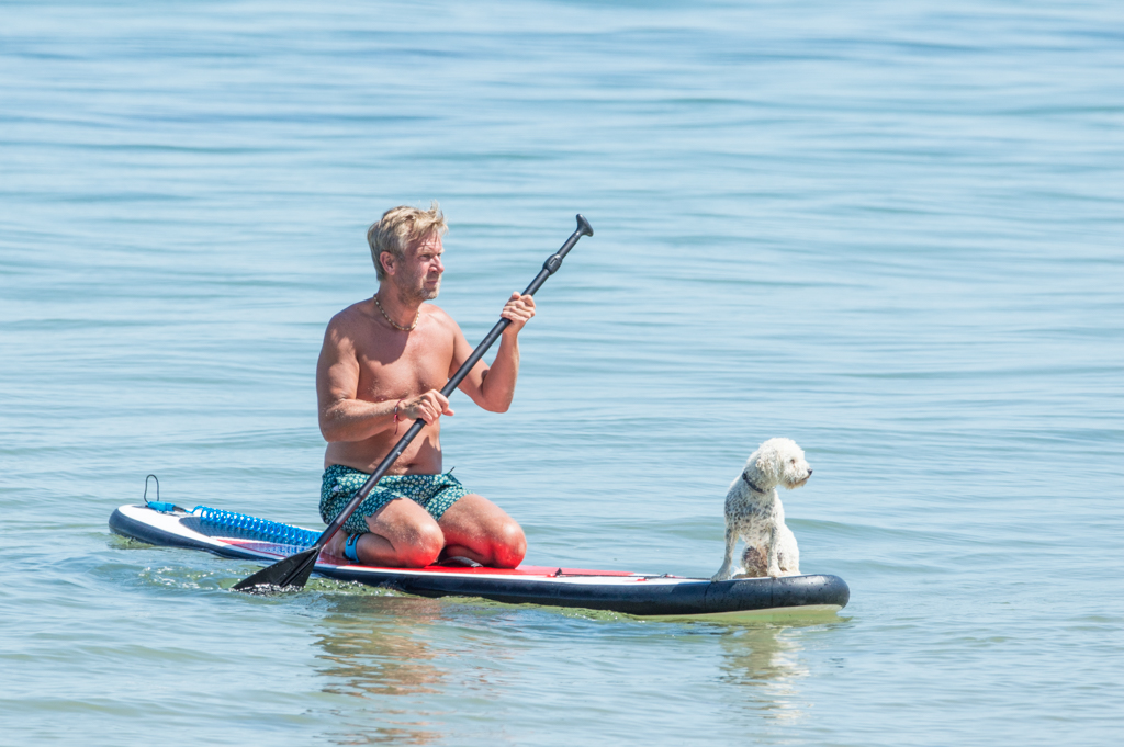 paddle1.jpg