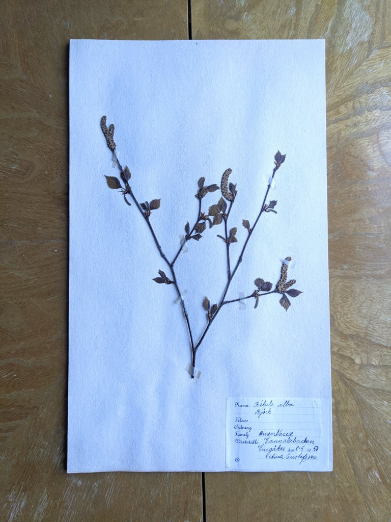 PXL_20210214_084128877.jpg