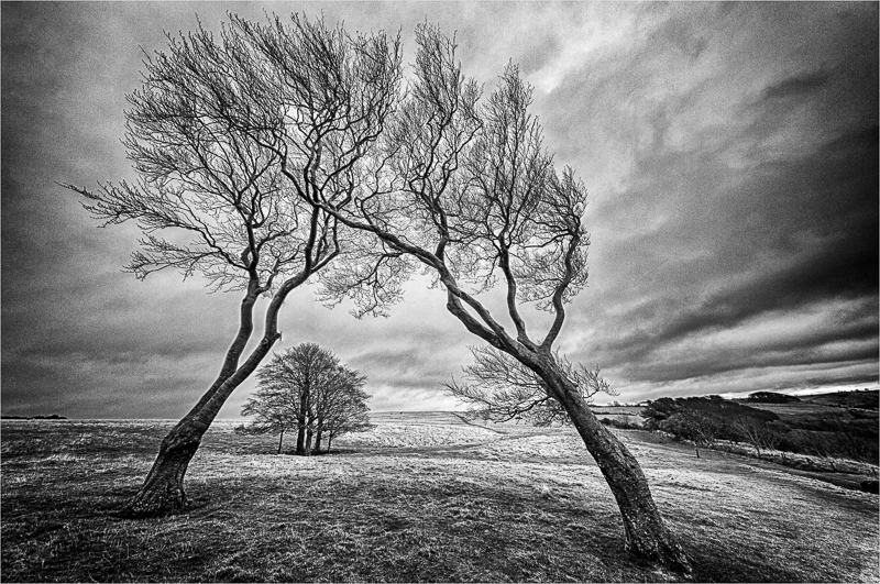 Two Sisters - Cleeve Hill