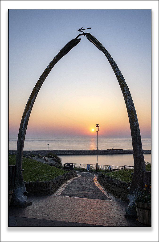 whalebones sunrise.jpg