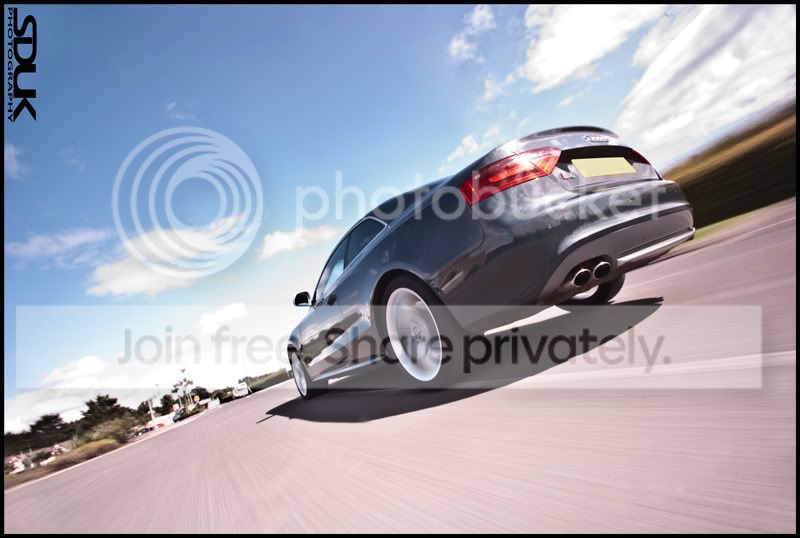 steveaudi2.jpg