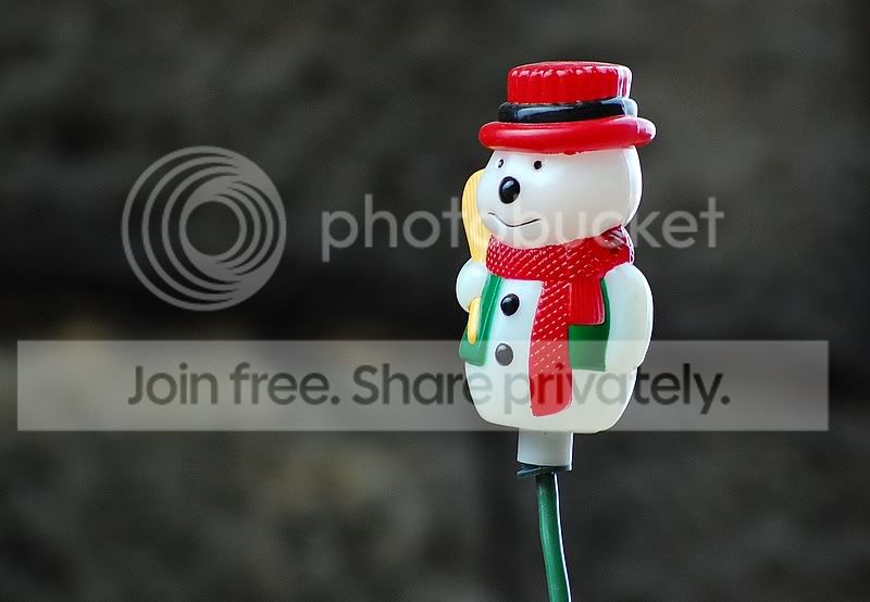 DSC_9225.jpg