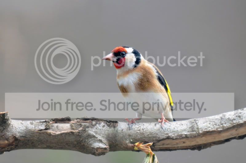 DSC_5818.jpg