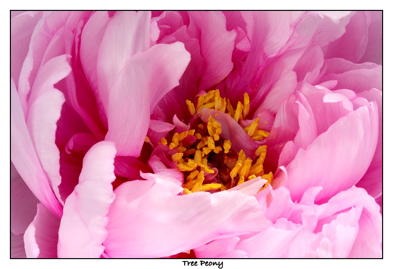 Img_9283b.jpg