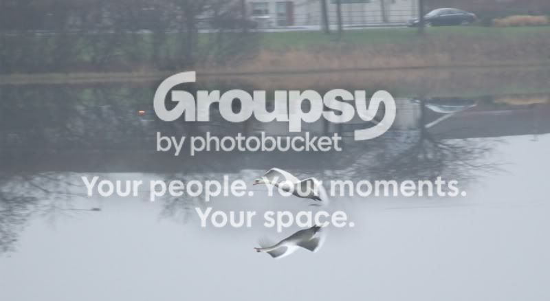 Reflections.jpg