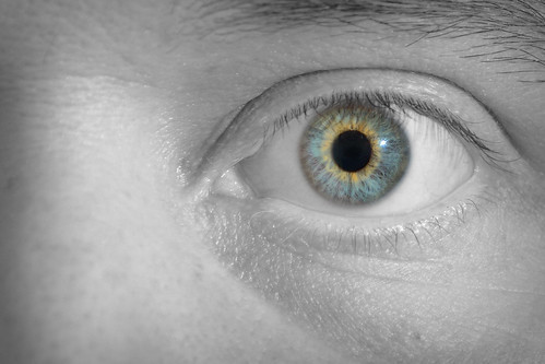 12051297054_98c60c335c.jpg
