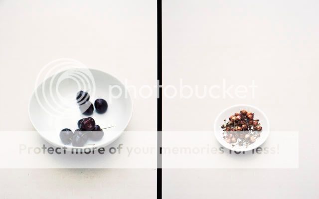 MyHouse10-CherriesDiptych.jpg