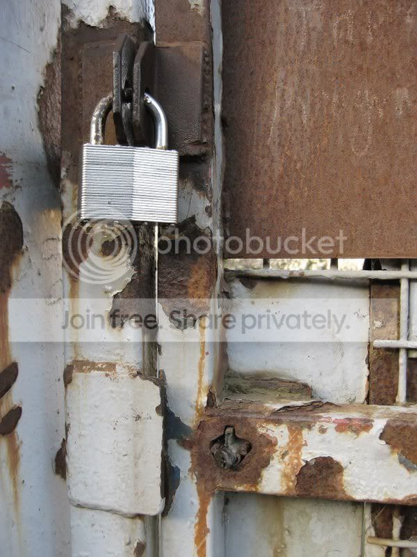 FebWk4039.jpg