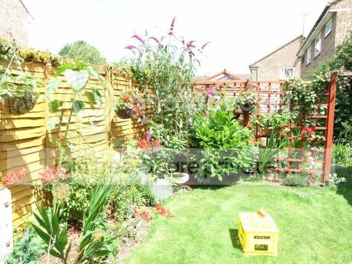 garden.jpg