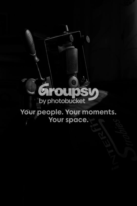lightcamerano800.jpg