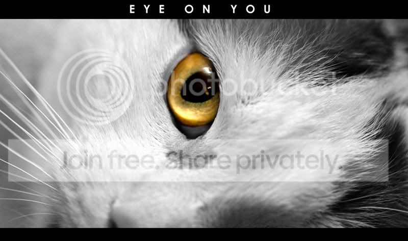 eye-on-you2.jpg