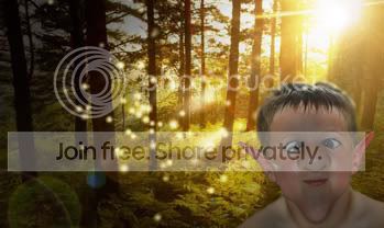 Pixie-forest-2-copy.jpg
