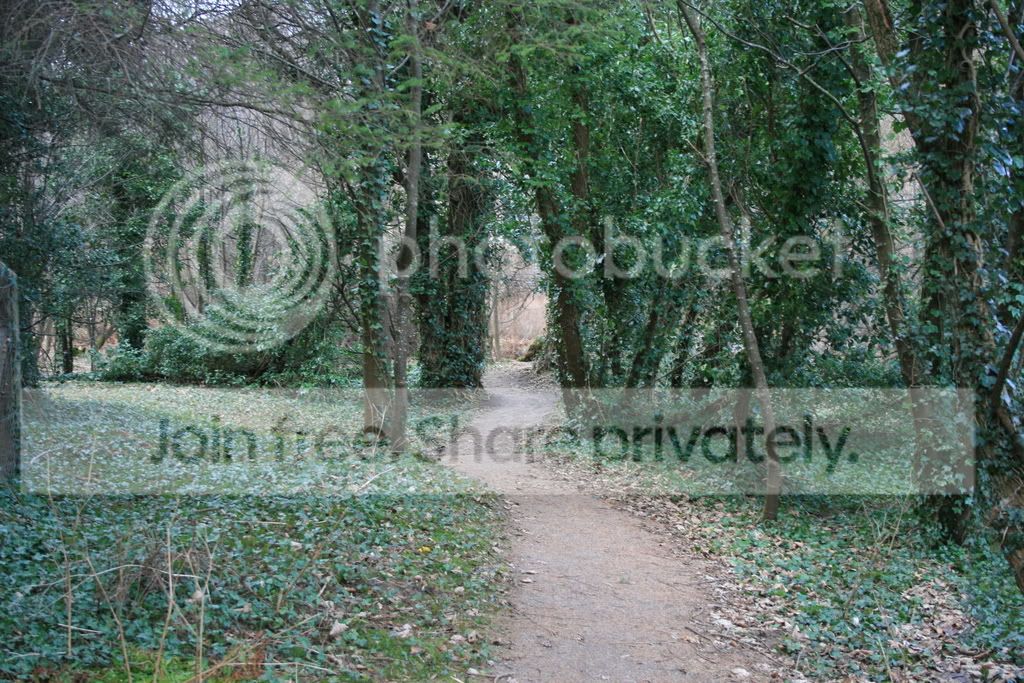 ThePath.jpg