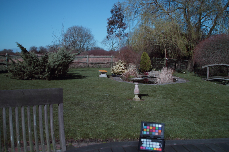 SOOC0012.JPG