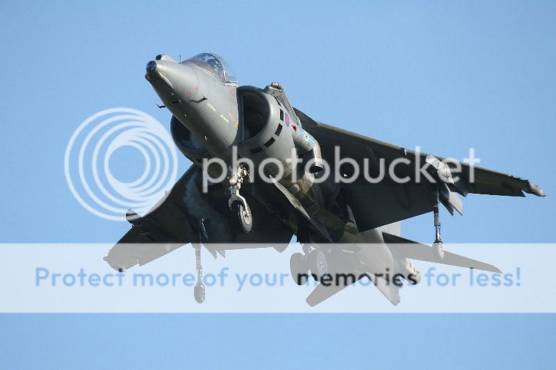 Harrier2.jpg