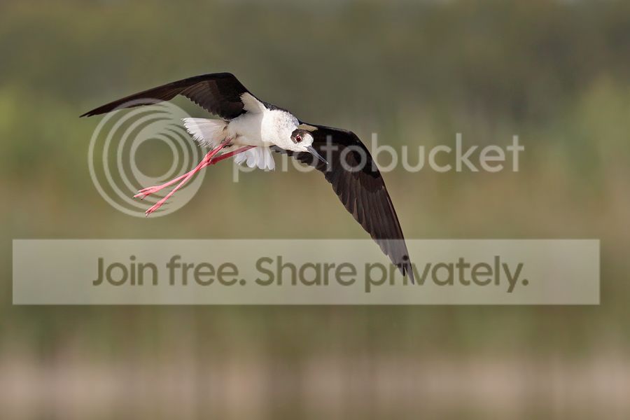 7D2_7982%20b%20900.jpg~original