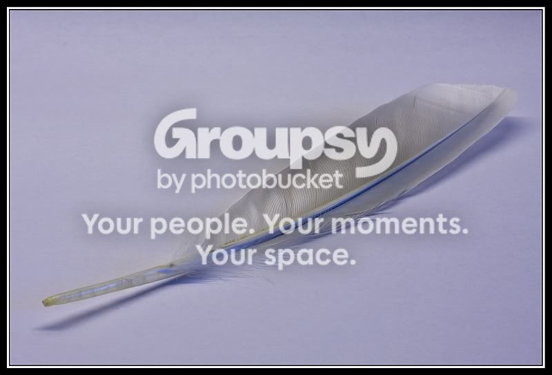 theme6.jpg