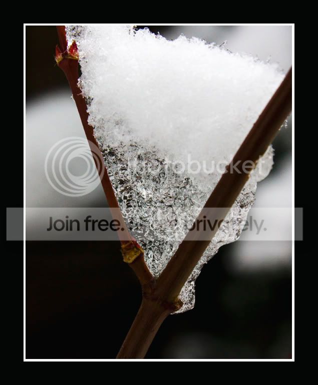 IMG_0017.jpg