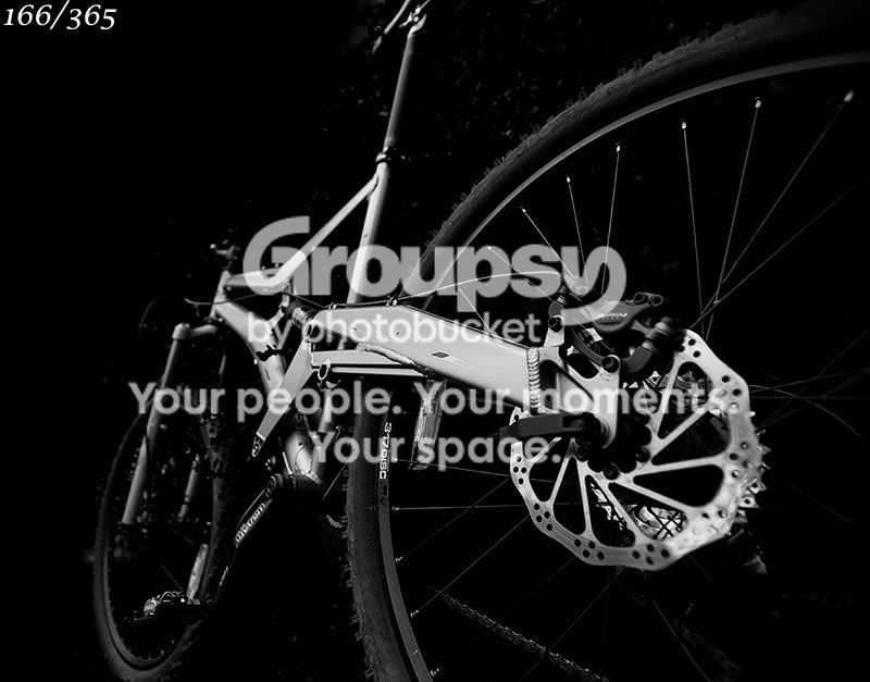 365_166.jpg