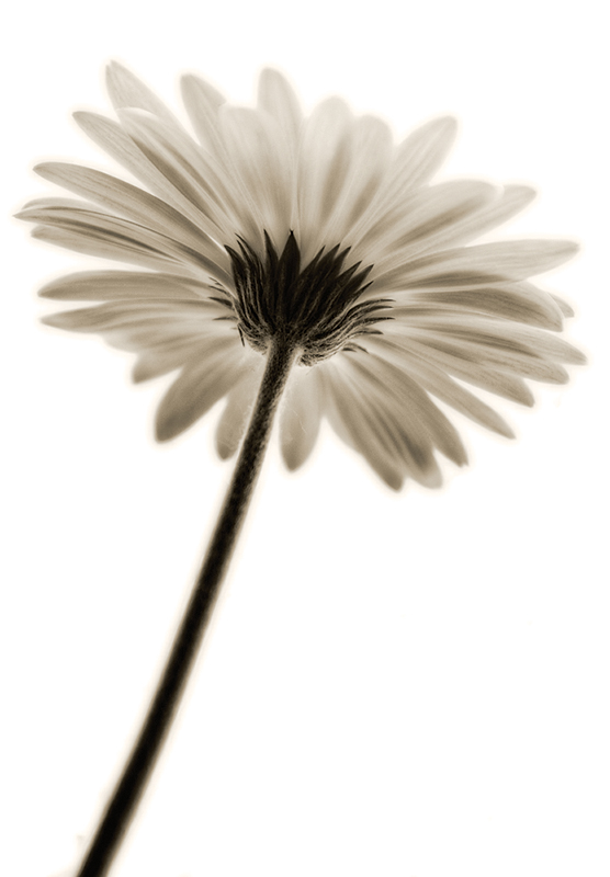 4469062217_1a1ebed998_o.jpg