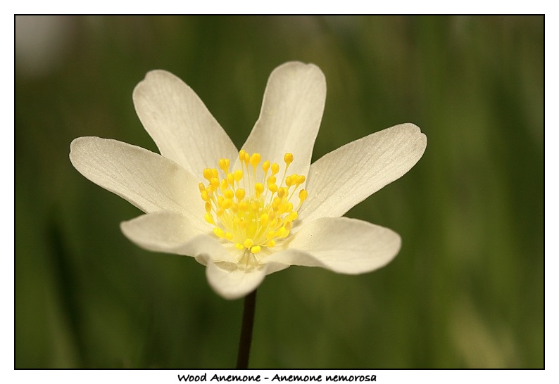 Img_5836b.jpg
