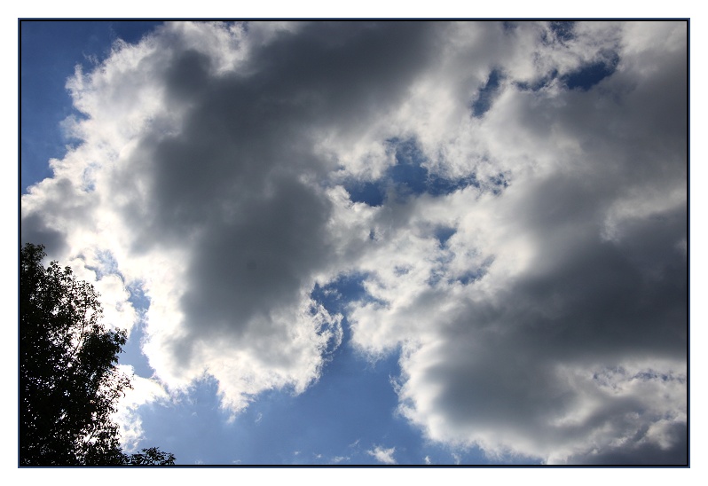 Img_6142a.jpg
