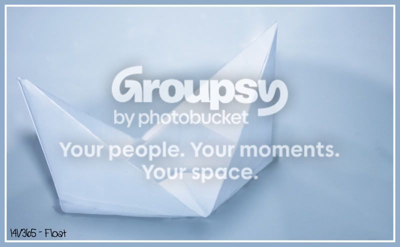 141.jpg