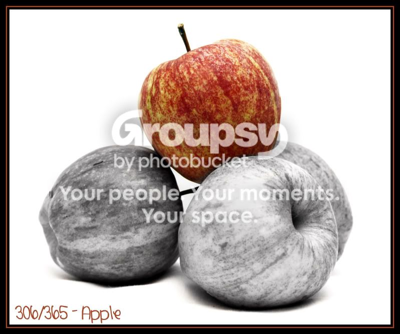 306.jpg
