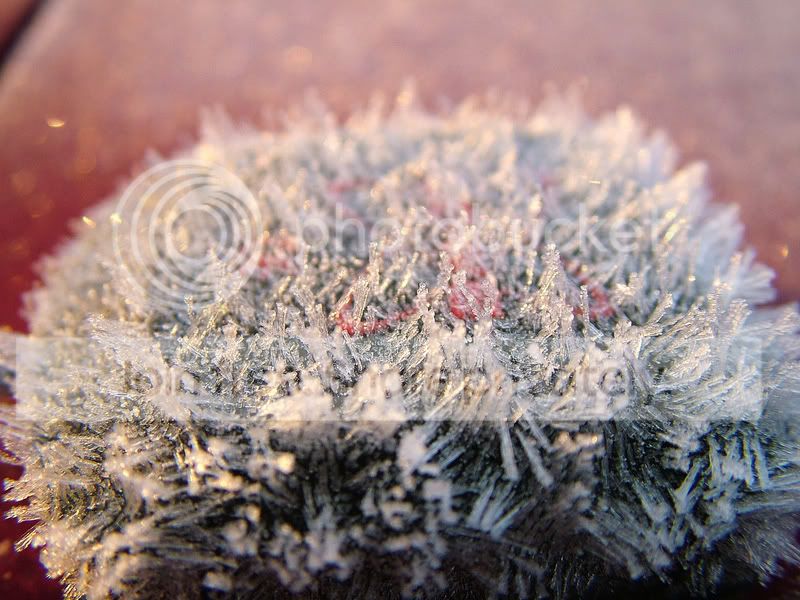 0312160006_edited-1.jpg