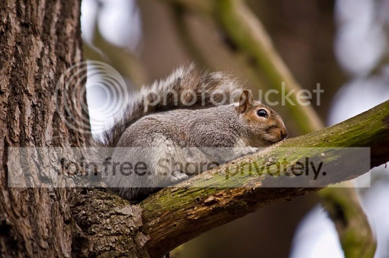 DSC_0504800x600.jpg