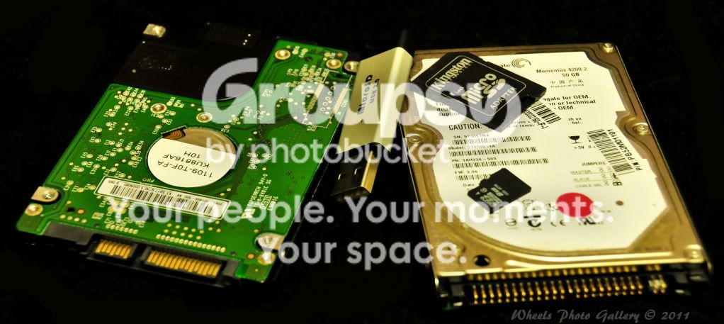 JDS_84781.jpg