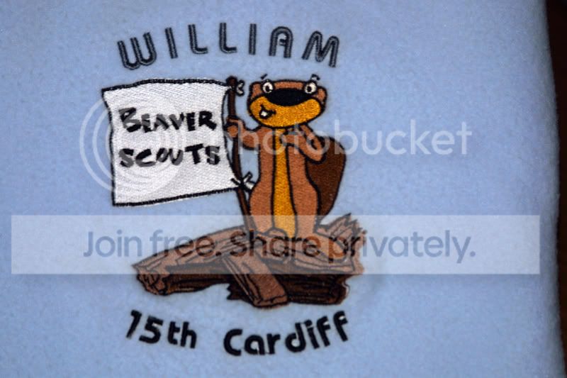 BeaverScouts1.jpg