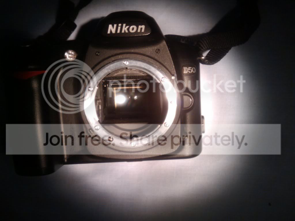 2010-06-16225558.jpg