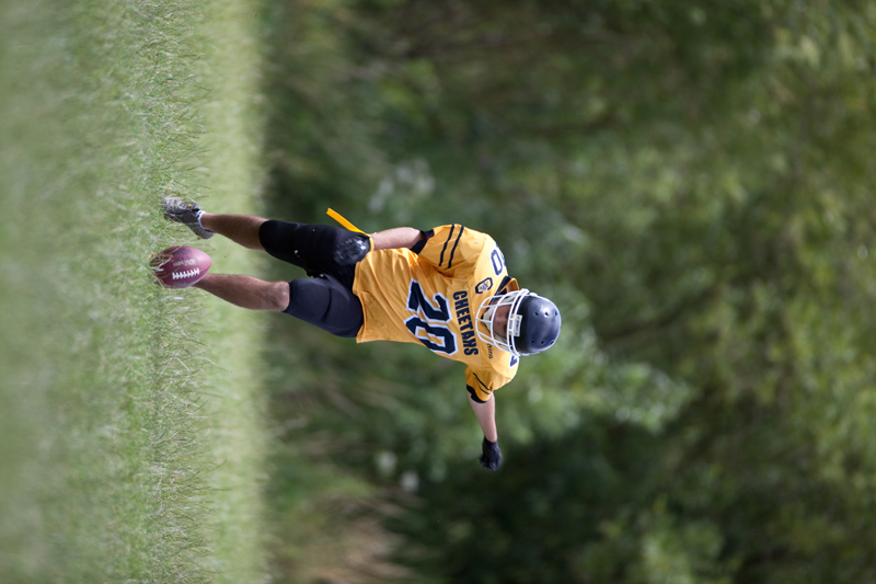 IMG_3342-4a.jpg
