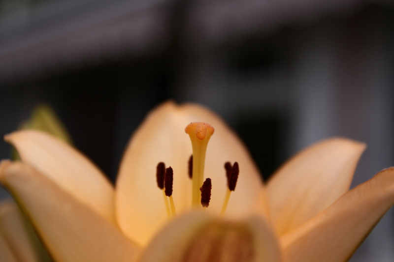 3659205877_8450f1efd5_o.jpg