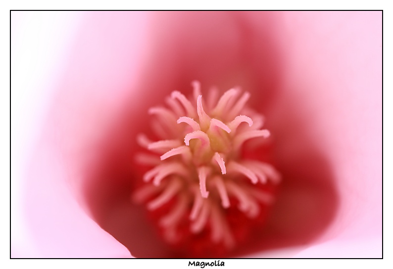Img_6412b.jpg