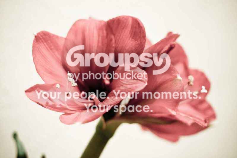 photo-5.jpg