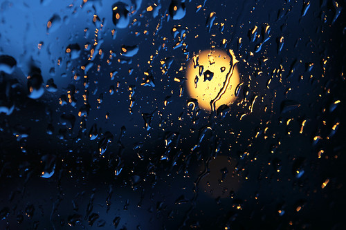 4457548675_9977c9d7e9.jpg