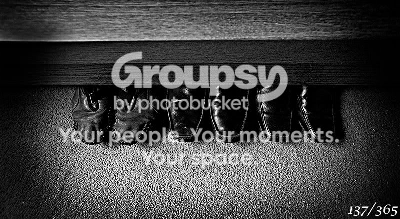 365_137.jpg