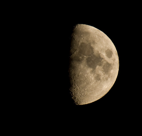 3866639371_c7e81b3657.jpg