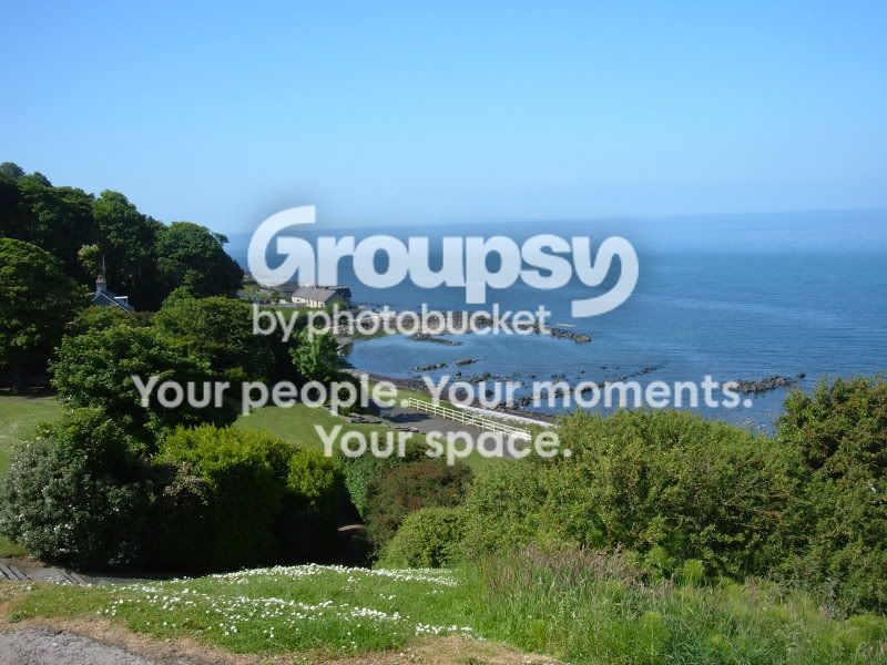 pics146.jpg