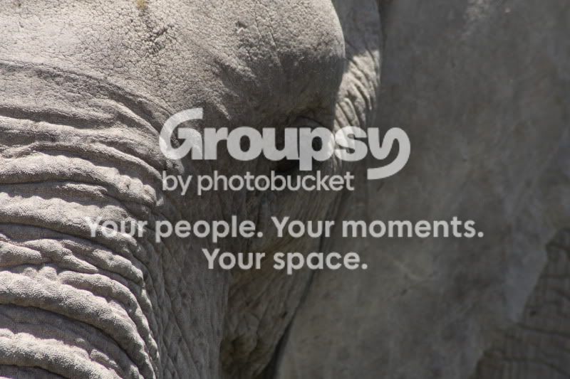 KENYA028.jpg