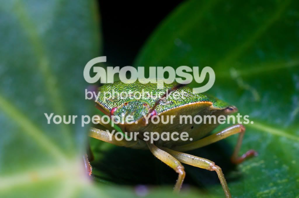 helloyou1of1.jpg