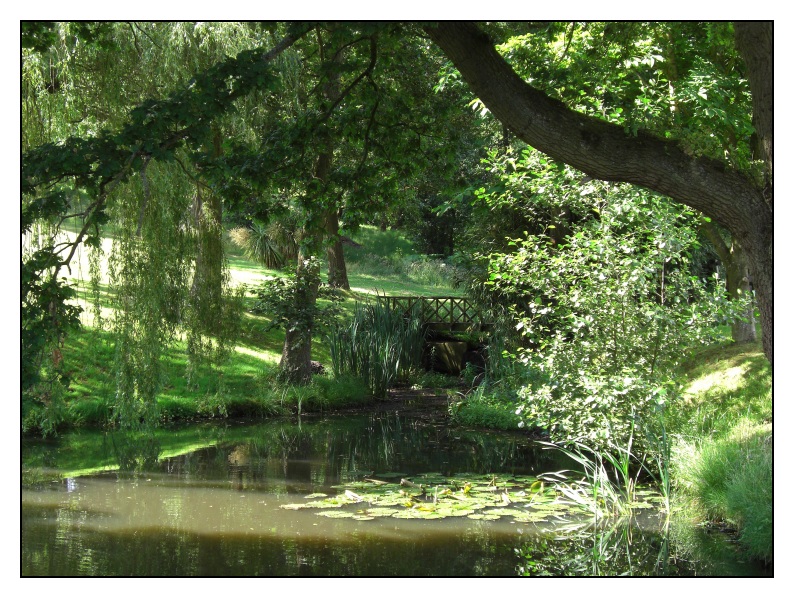 bridge-1.jpg