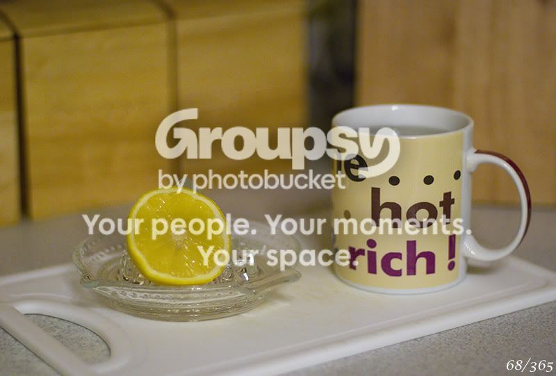 365_68.jpg