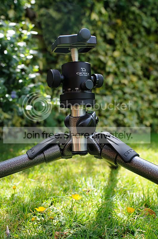 tripod-low.jpg