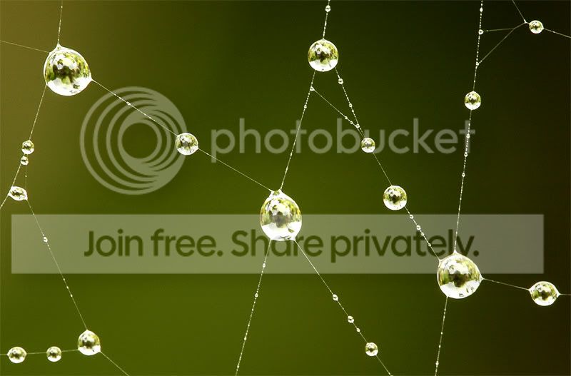 Rain-10th-Sept014.jpg